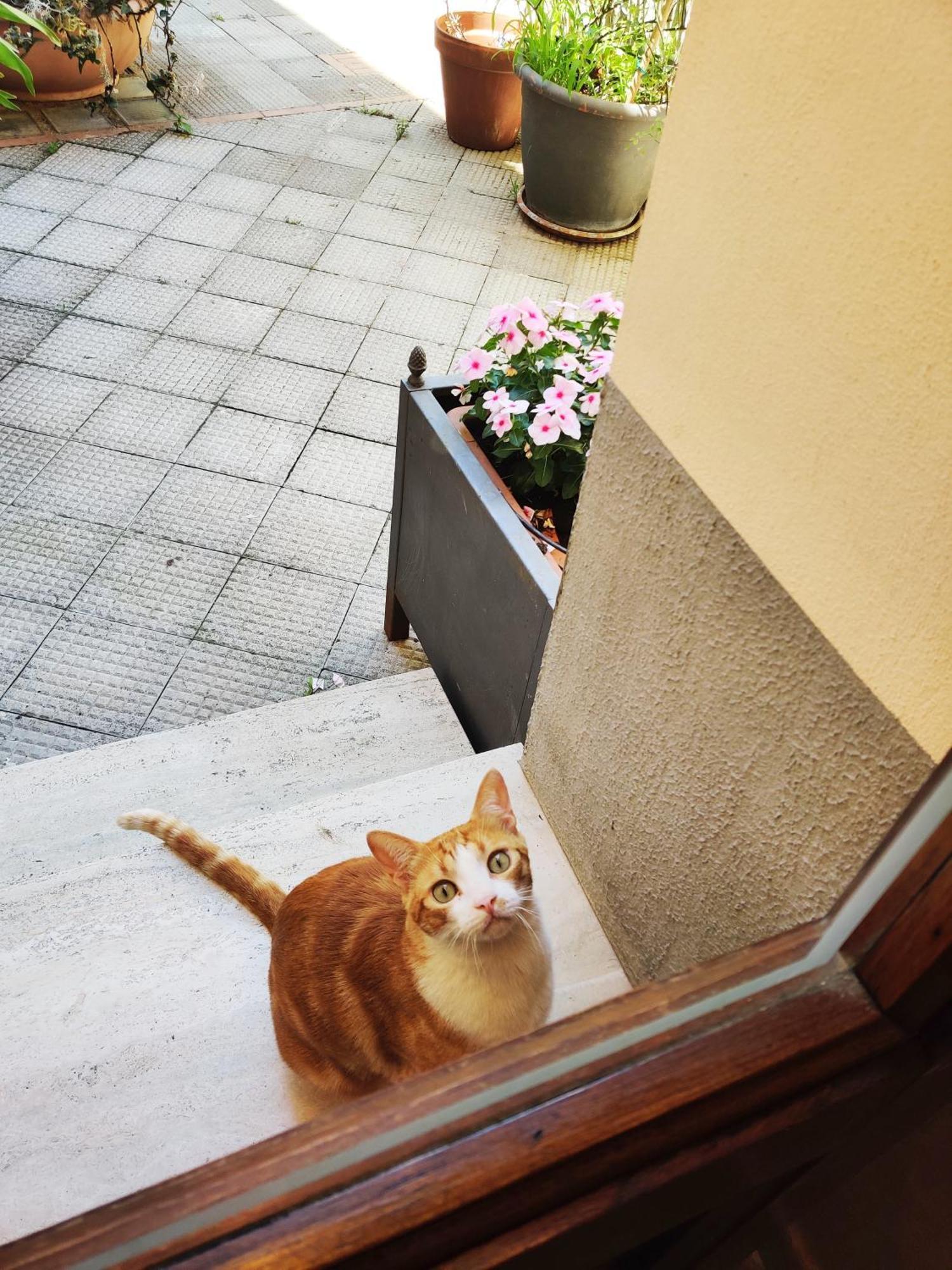 B&B Gattacicova Cava De' Tirreni Room photo