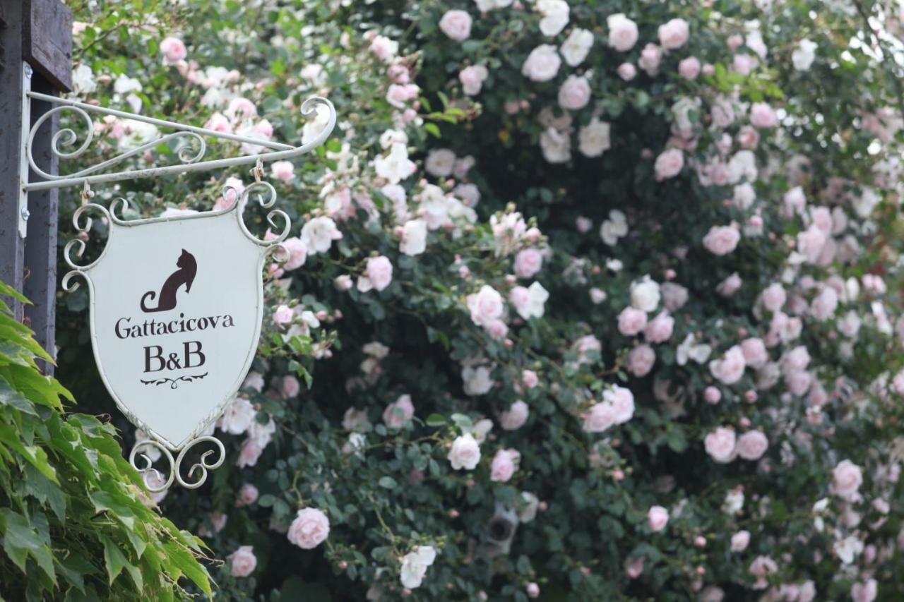 B&B Gattacicova Cava De' Tirreni Exterior photo